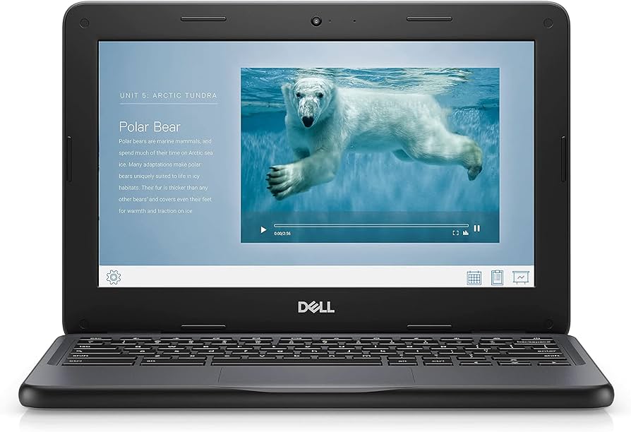 Dell Chromebook 3100 2-in-1 | Intel Celeron N4000 | 4GB RAM | 32GB eMMC | 180° Klapbaar | Touchscreen